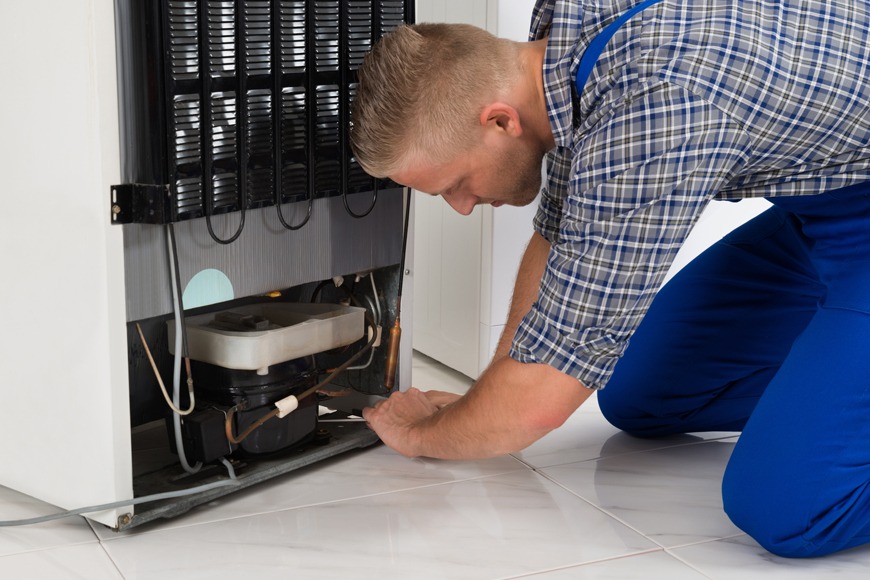 fridge repair, Dubai appliance repair, fridge repair services, fridge maintenance Dubai, emergency fridge repair, fridge cooling issues